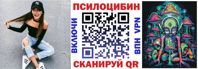 ОМГ ОМГ онион  Починок  Псилоцибиновые грибы GOLDEN TEACHER 